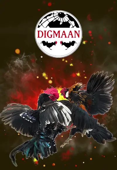 Cockfight เกมค่ายดัง แตกง่าย ที่ thegrand789.com